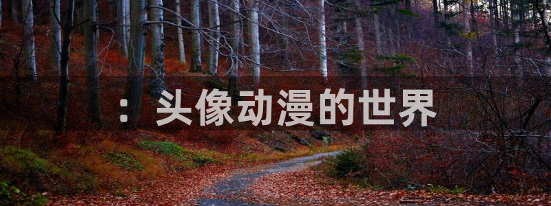一点动漫网