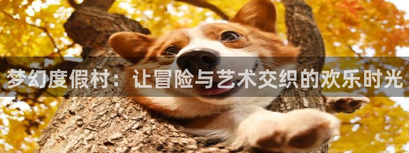 一点动漫网
